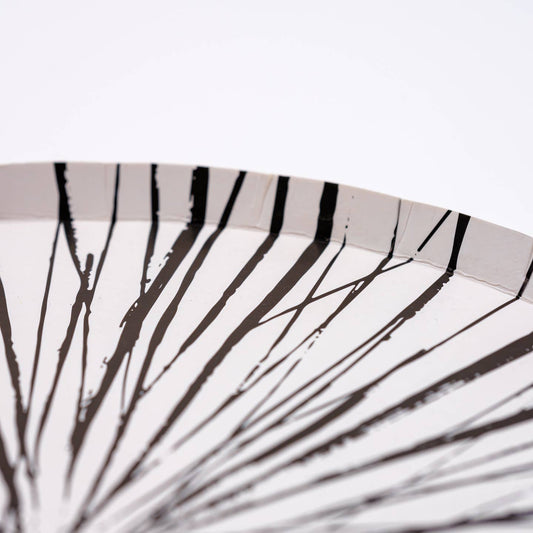 Radiance Black Dinner Plates