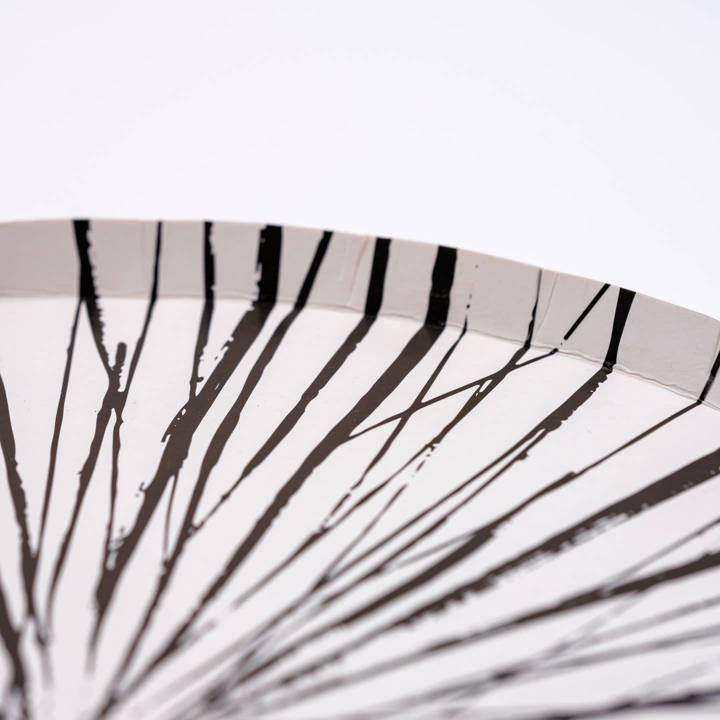 Radiance Black Dinner Plates