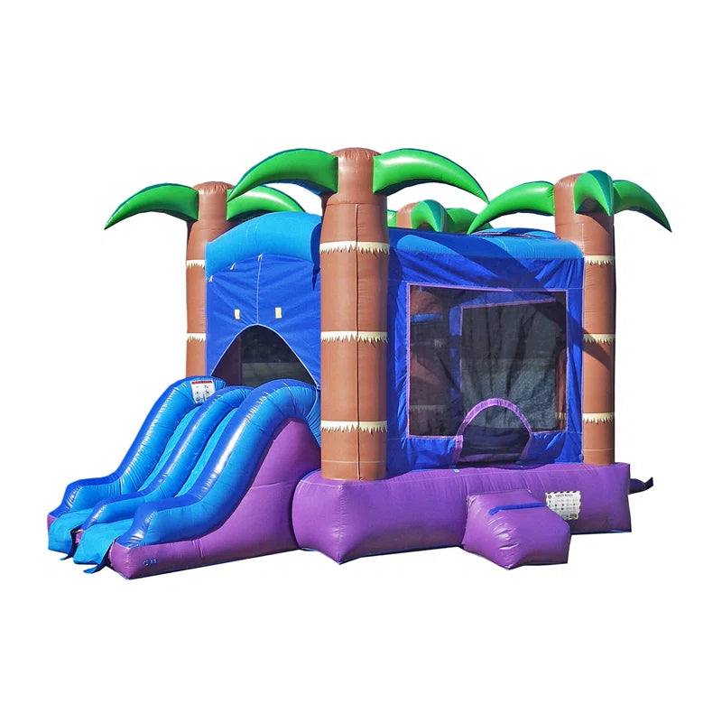 Wet or Dry Bounce House Rental